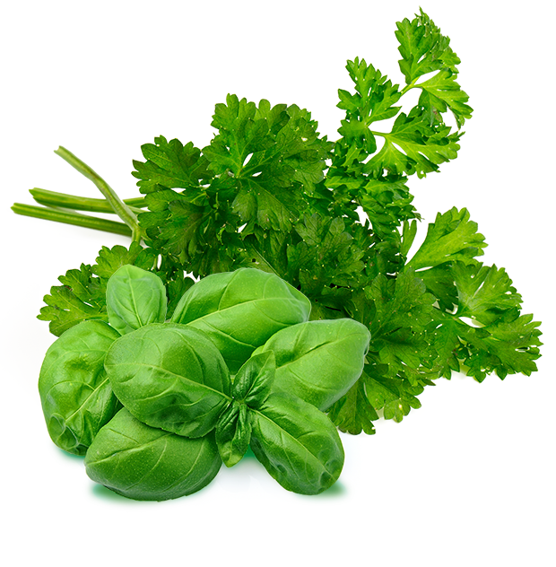 Erbe aromatiche